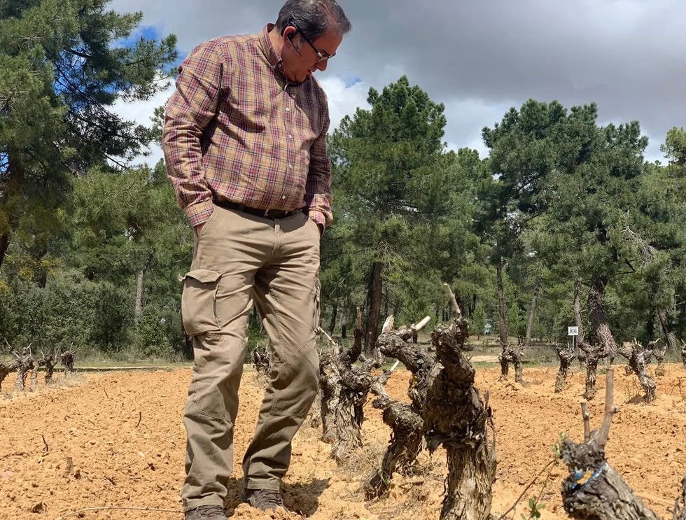 a man standing on a dirt path