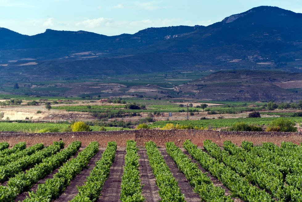 farmland with mountains in background, aldeanueva de ebro, spain