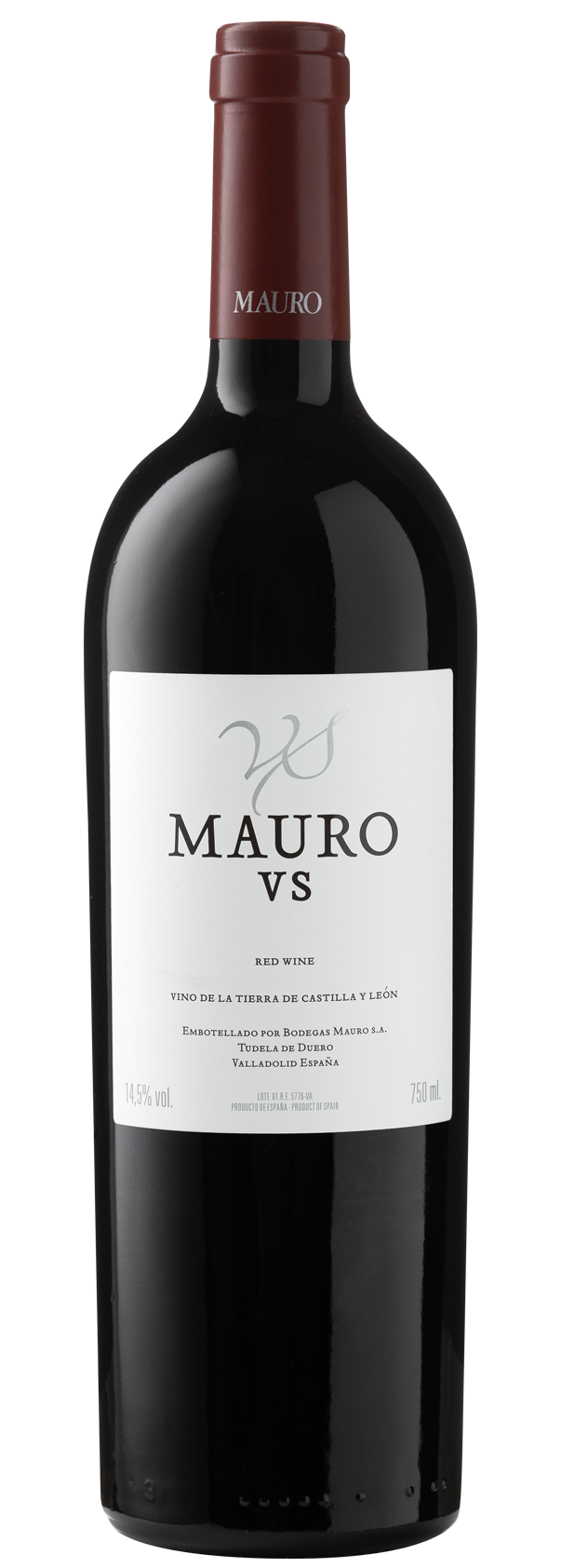 Mauro VS 2019 Mauro VS 2019